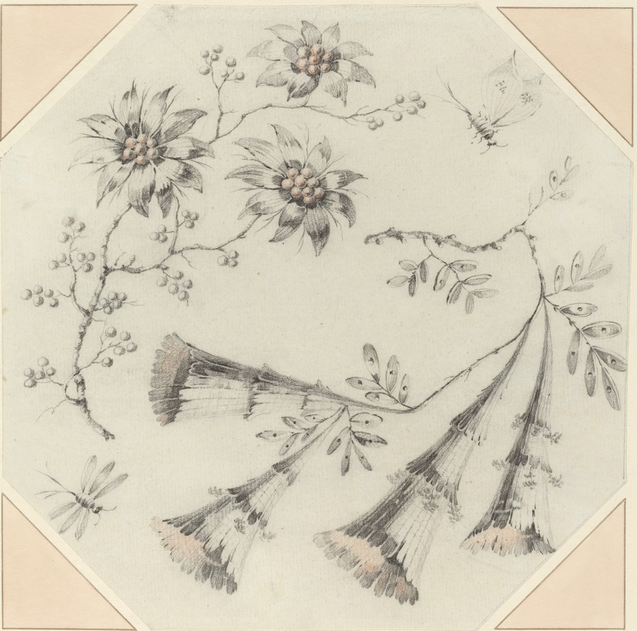 喇叭花和雏菊 作者 让·巴蒂斯特·皮列曼