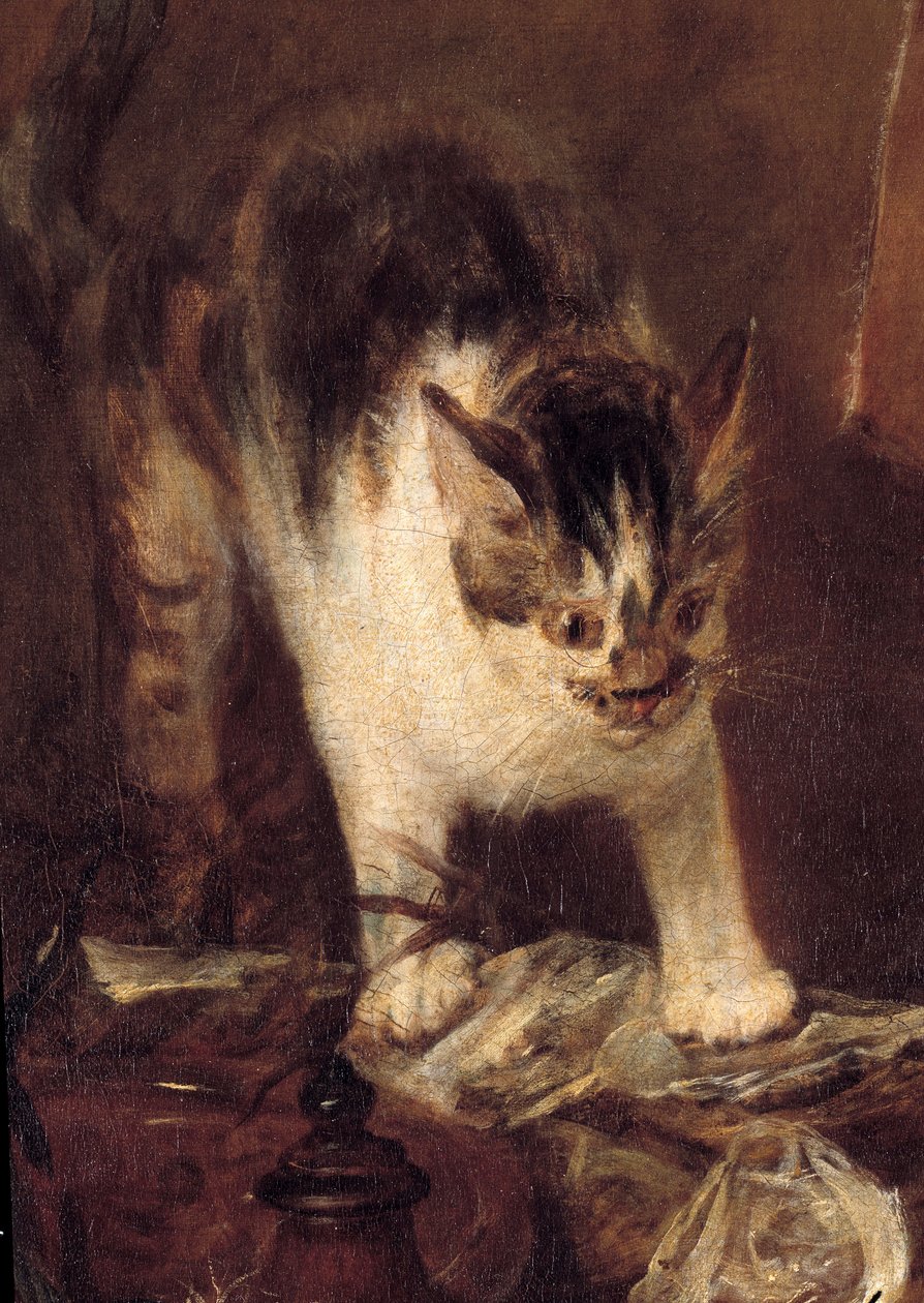 鱼、牡蛎、水罐的静物溜冰鞋。 猫细节。 Jean Baptiste Simeon Chardin (1699-1779) 1727 年作画。 1,14 x 1,46 m 巴黎。 卢浮宫 作者 让·巴蒂斯特·西蒙·查尔丁