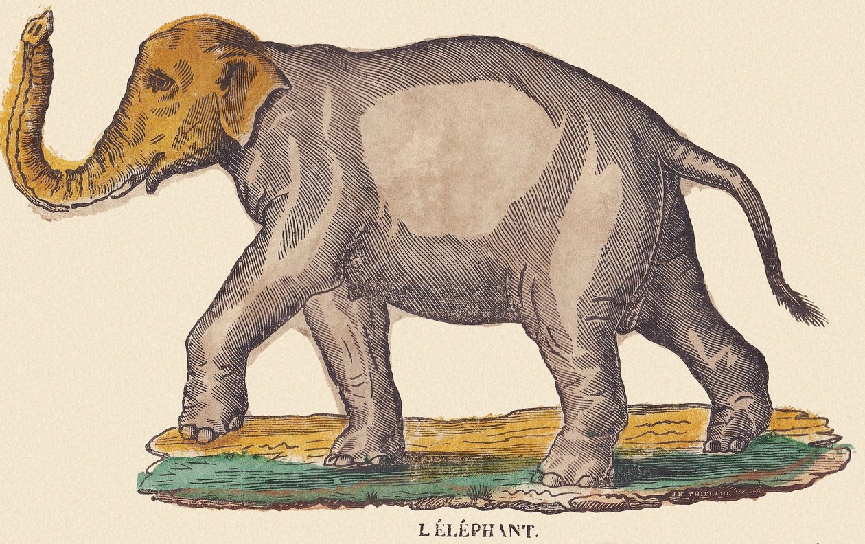 大象，约 1840-1852 年（石版画） 作者 让·巴蒂斯特·蒂博