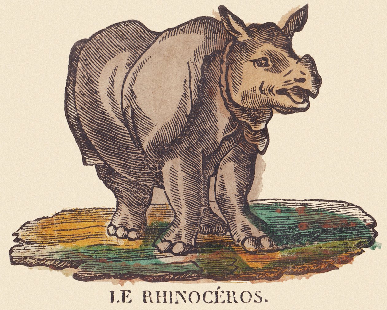 犀牛，约 1840-1852 年（石版画） 作者 让·巴蒂斯特·蒂博
