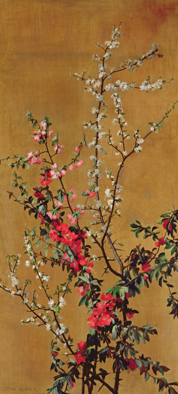 日本樱花树和山楂树枝（参见215286） 作者 让·本纳