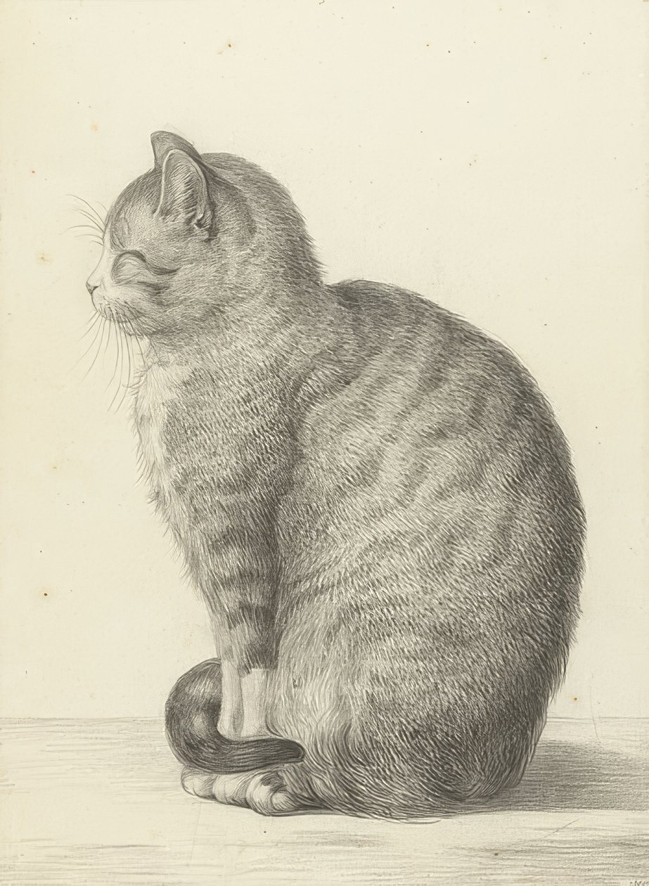 坐着的猫，在左边。 1815年 作者 让·伯纳德