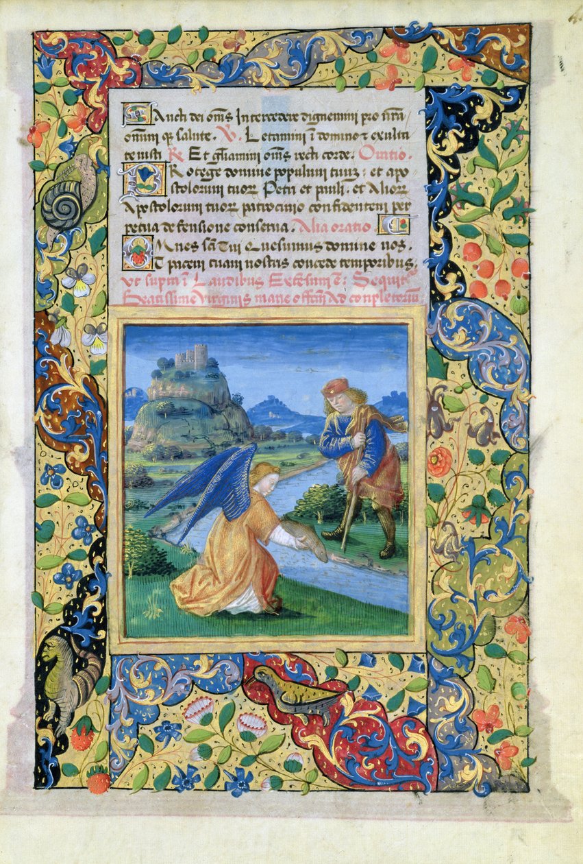 Lat.QvI126 f.40 Tobias and the Angel，来自路易斯·奥尔良时报，1469 作者 让·科隆比
