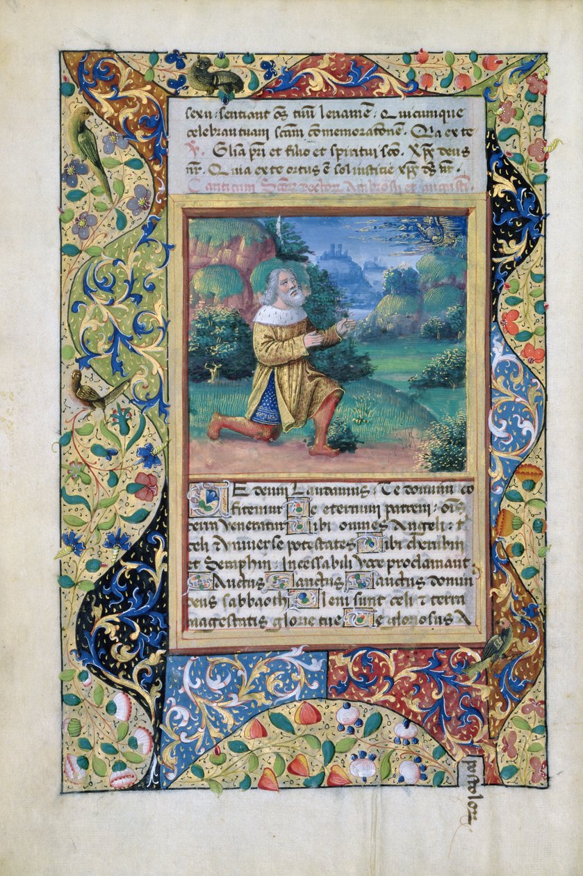 拉特女士。 QvI126 fol.17v大卫王在父神面前忏悔，来自路易斯·达尔兰时报，1490年 作者 让·科隆比