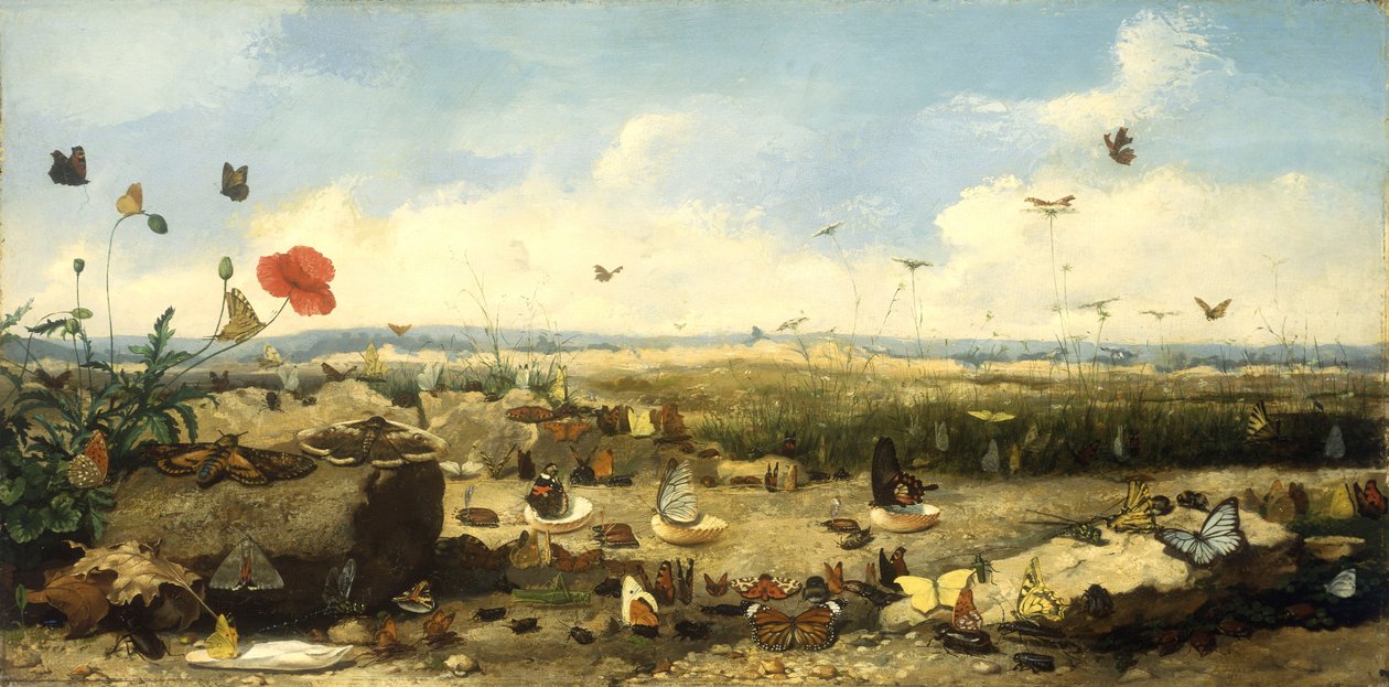 蝴蝶竞赛，1872年 作者 让·尤金·多诺（Jean Eugene Doneaud）