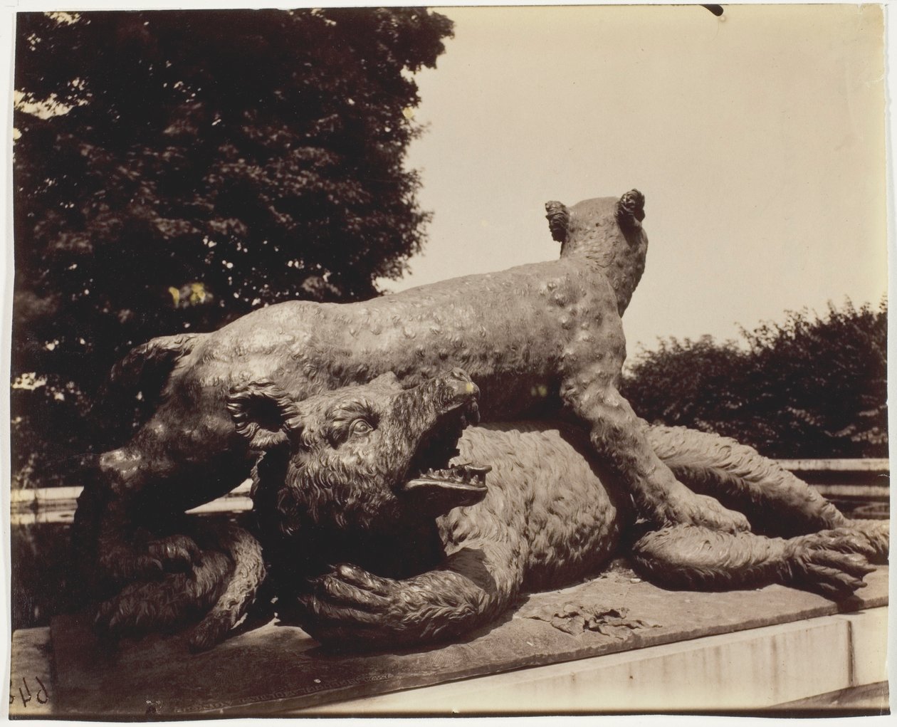 凡尔赛宫，日之角枫丹 (Tigre Terrassant un Ours by Houzeau) 作者 让·欧仁·奥古斯特·阿杰