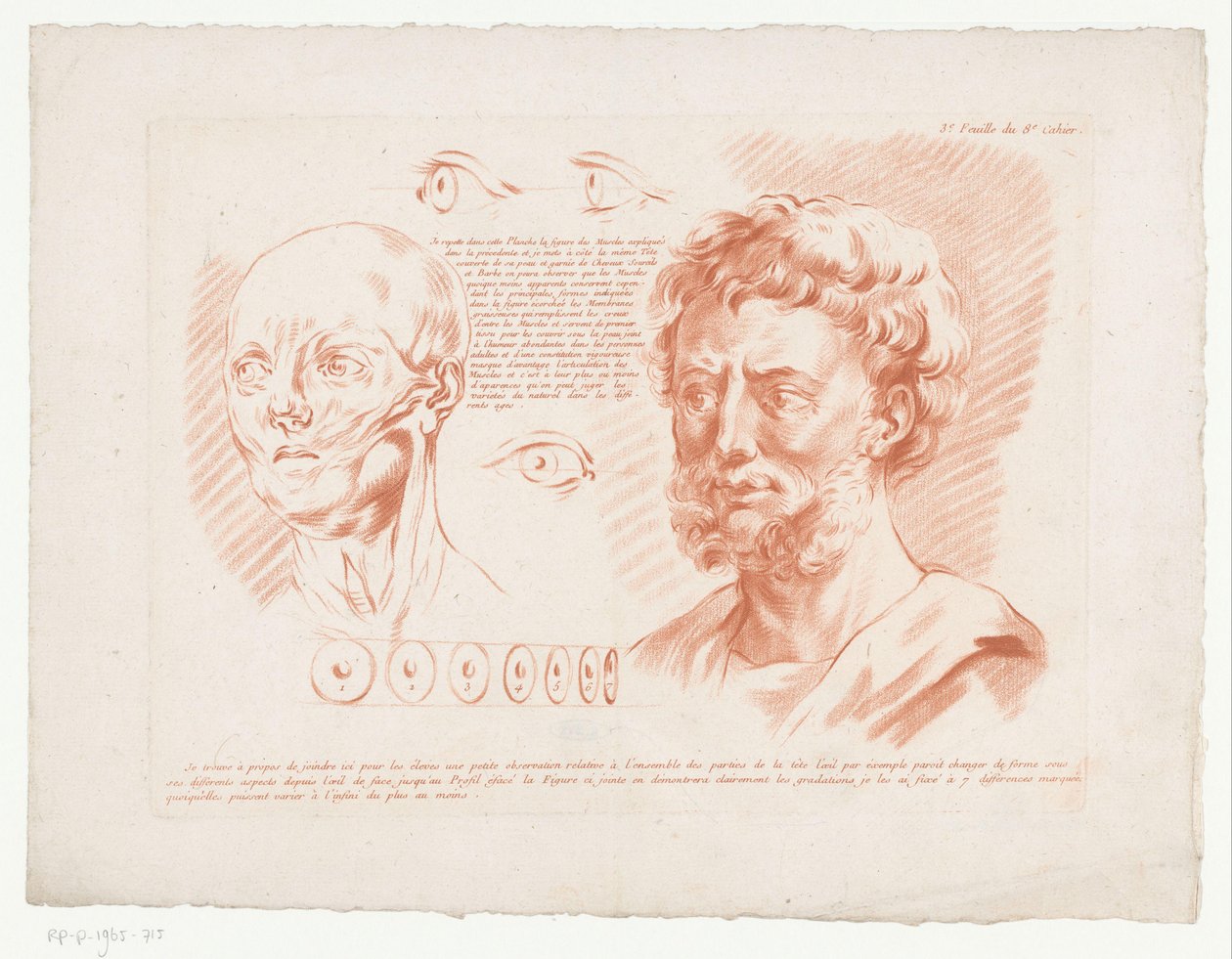 两个男人的头和眼睛从不同的角度看 3.e Feuille du 8e Cahier。 （对象上的标题） 人体部位的构图（系列名称） Huitième Cahier de Principes de Dessin（系列标题） 作者 让·弗朗索瓦·詹尼特