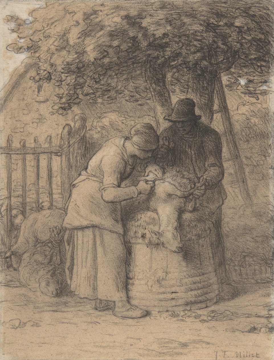 羊群在树下，c.1854（笔和蜡笔，棕色墨水和水粉在纸上） 作者 让·弗朗索瓦·米勒