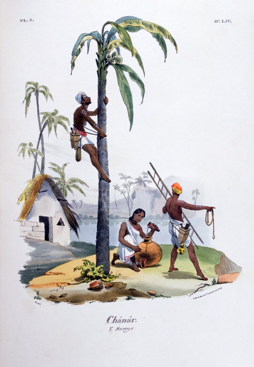 夏纳尔（1828） 作者 让·亨利·马莱特