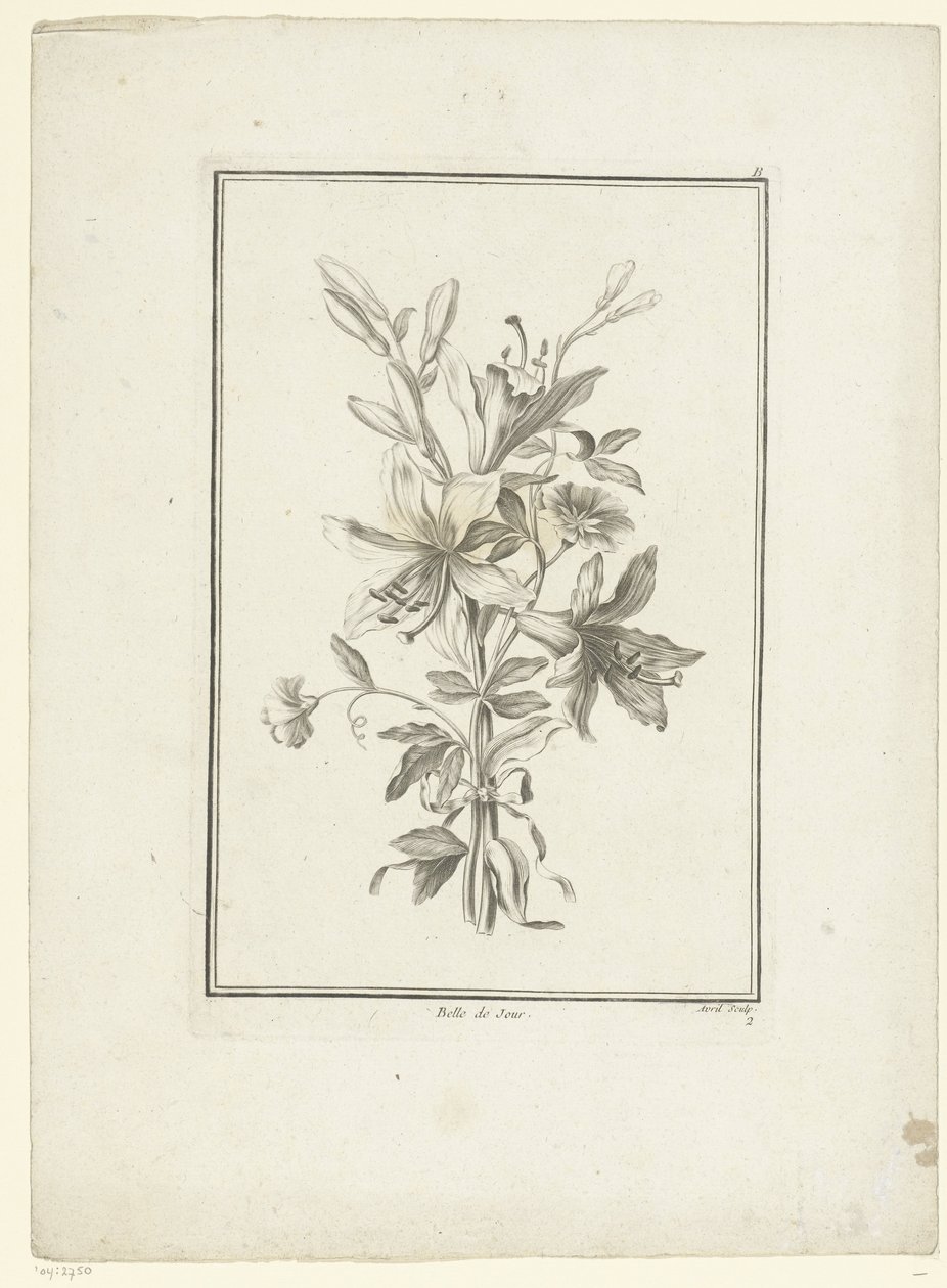 带图案的画册
Belle de Jour（物品上的标题）
IIe Cahier de Bouquets（系列标题） 作者 让-雅克·艾薇儿（一）