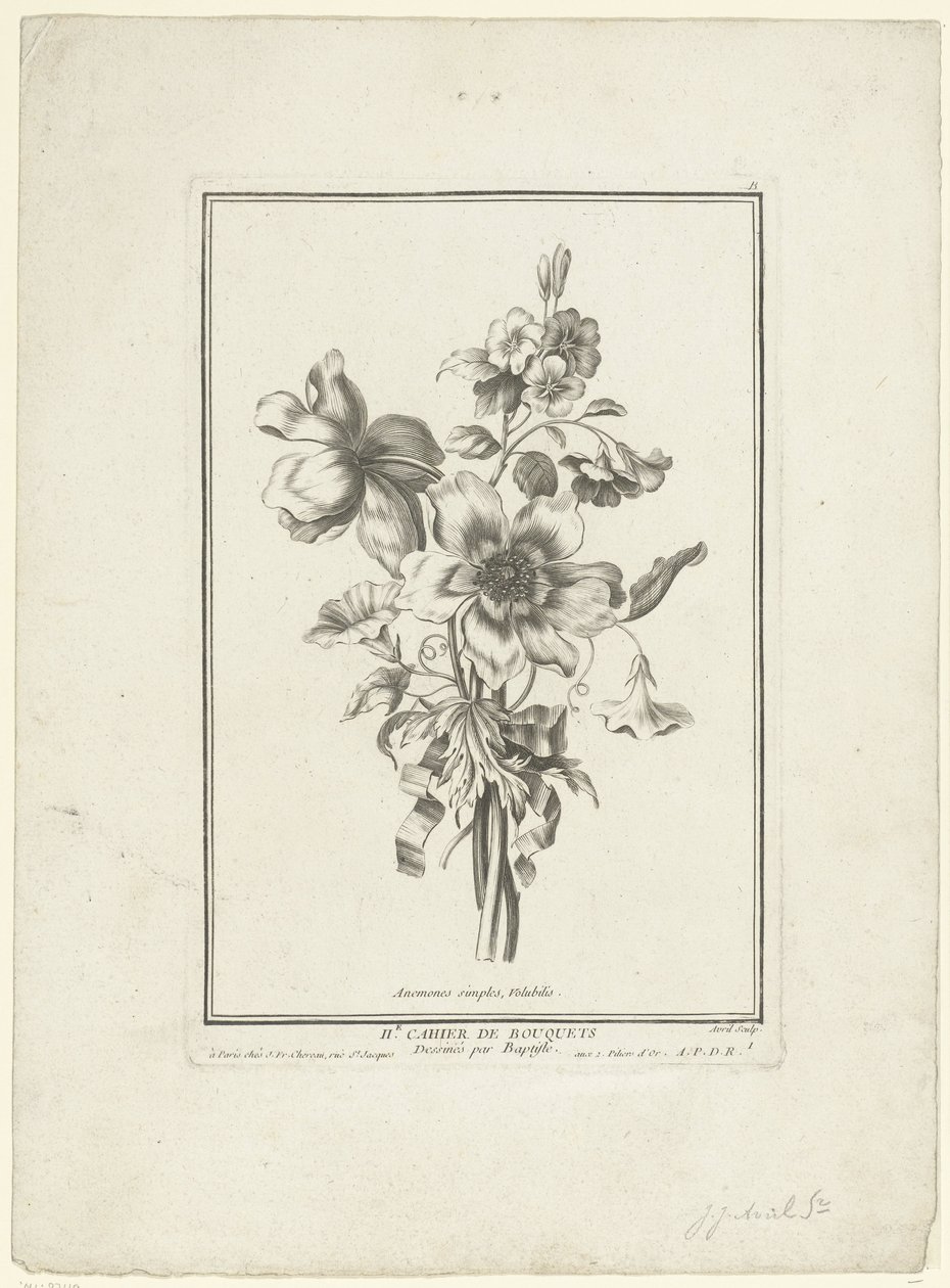 海葵和风之书
简单的海葵，瓦卢比利斯（物体上的标题）
IIe Cahier de Bouquets（系列标题） 作者 让-雅克·艾薇儿（一）