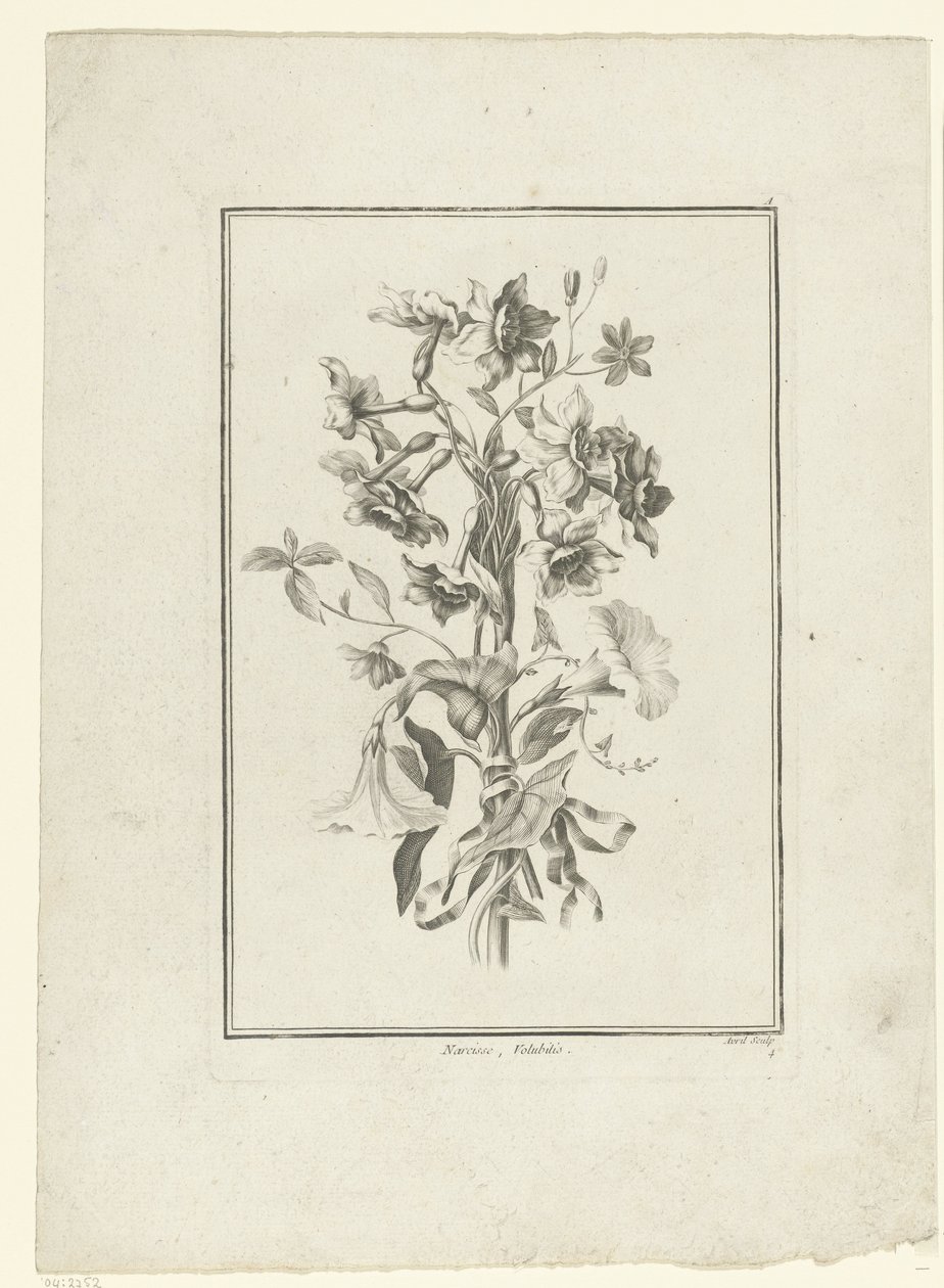 水仙和蓼属植物花束
纳西斯，瓦卢比利斯（物品上的标题）
第 II Cahier de Bouquets（系列标题） 作者 让-雅克·艾薇儿（一）