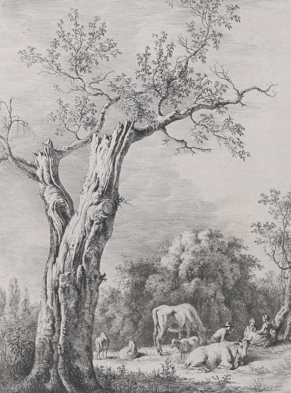 春天，根据1795年在圣夏蒙完成的画作。 作者 让·雅克·德·布瓦西