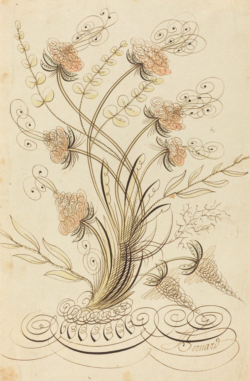 书法花 作者 让·约瑟夫·伯纳德（Jean Joseph Bernard）称伯纳德·德·巴黎（Bernard de Paris）