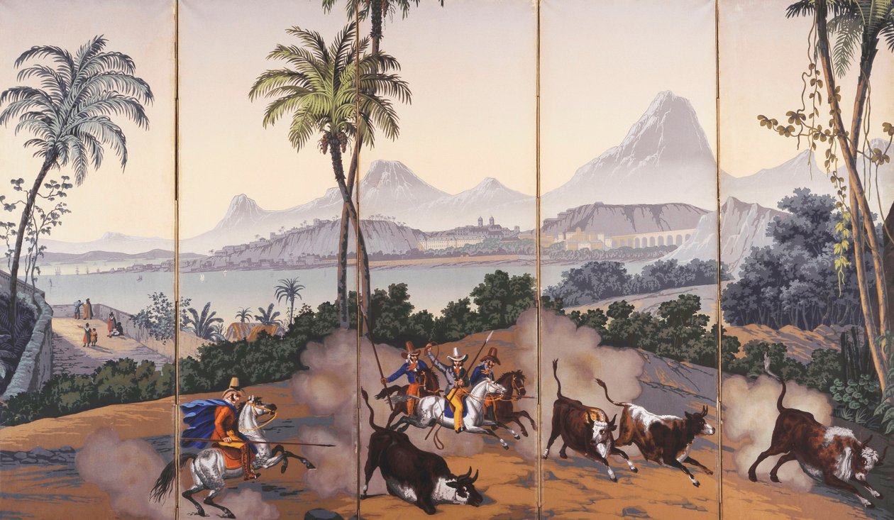 巴西意见，约1829-35年 作者 让·朱利安·德尔蒂尔