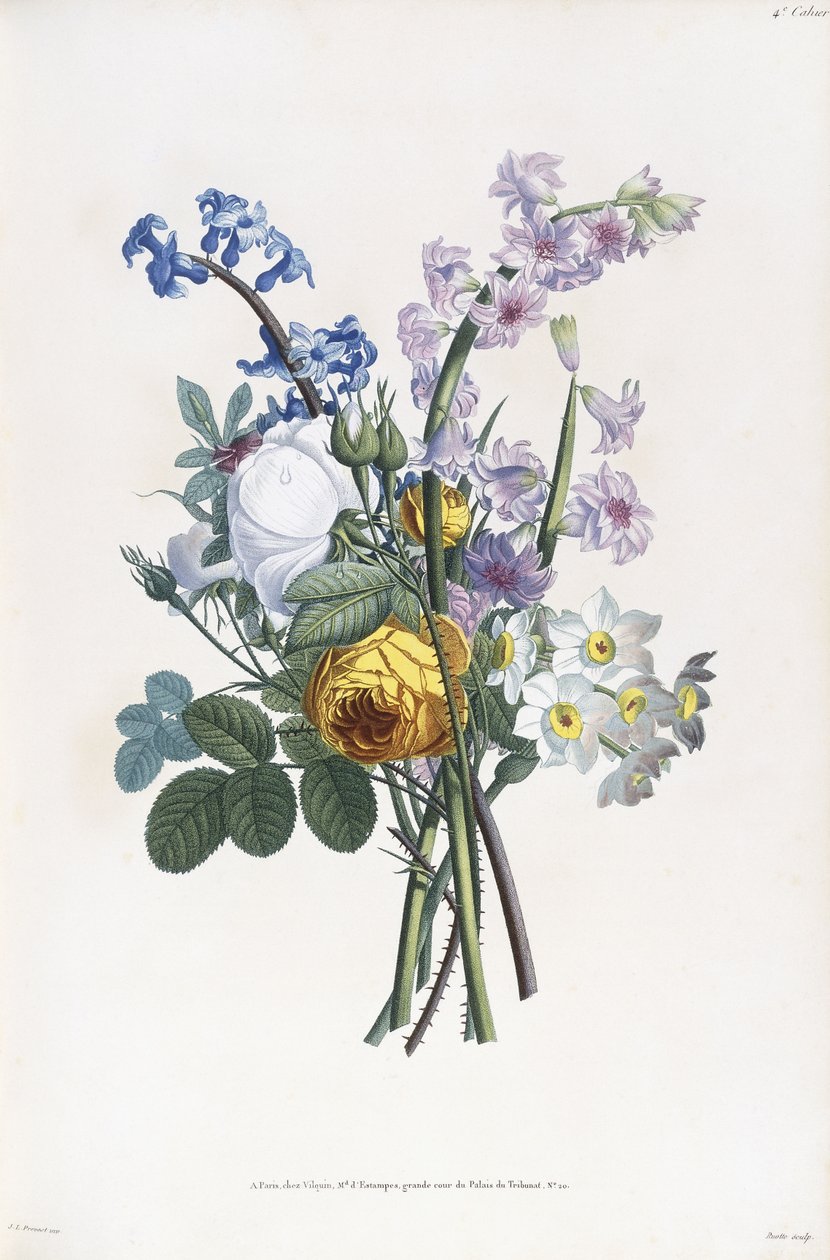 罗西·纳西西（Haracynth），纳西西（Narcissi），1805年 作者 让·路易斯·普雷沃斯特