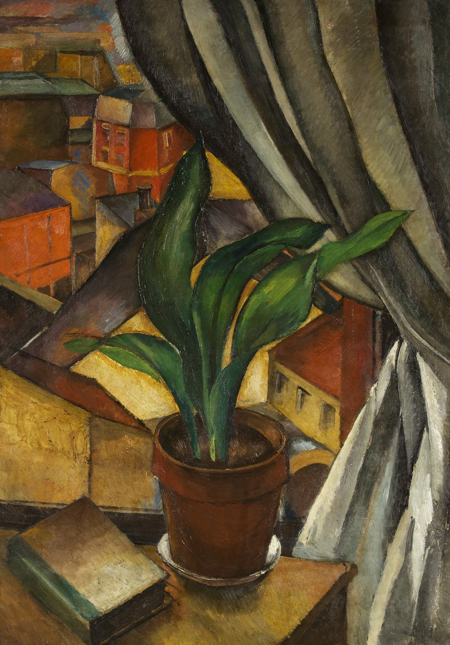 Aspidistra，约1912年（布面油画） 作者 让·马尚