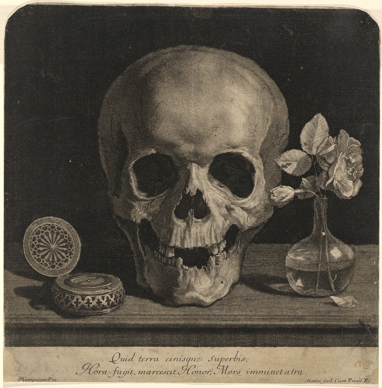 骷髅头和玫瑰花瓶的静物画 作者 让·莫兰（Jean Morin），以菲利普·德·尚佩涅（Philippe de Champaigne）命名
