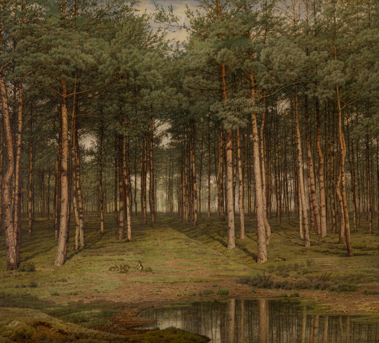 Fir Wood at Putte 作者 让·皮埃尔·弗朗索瓦·拉莫里尼埃