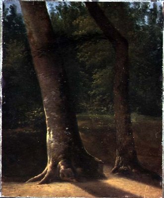 树的研究，约1815年（纸上油画） 作者 Jean Victor (attr. To) Bertin