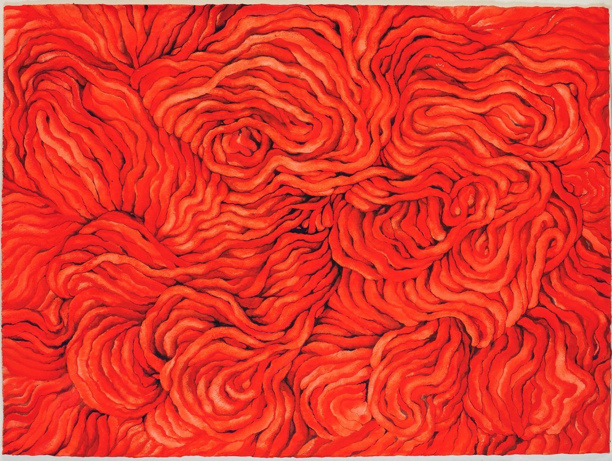 羊毛红》，2013 年（纸上水粉画） 作者 珍妮迷宫