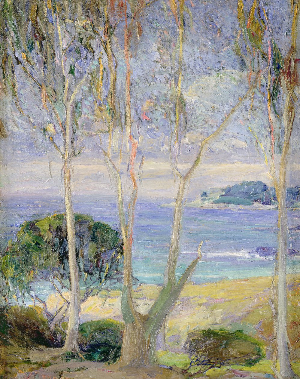晴朗的一天，加利福尼亚海岸，约 1918 年（布面油画） 作者 珍妮文纳斯特罗姆大炮