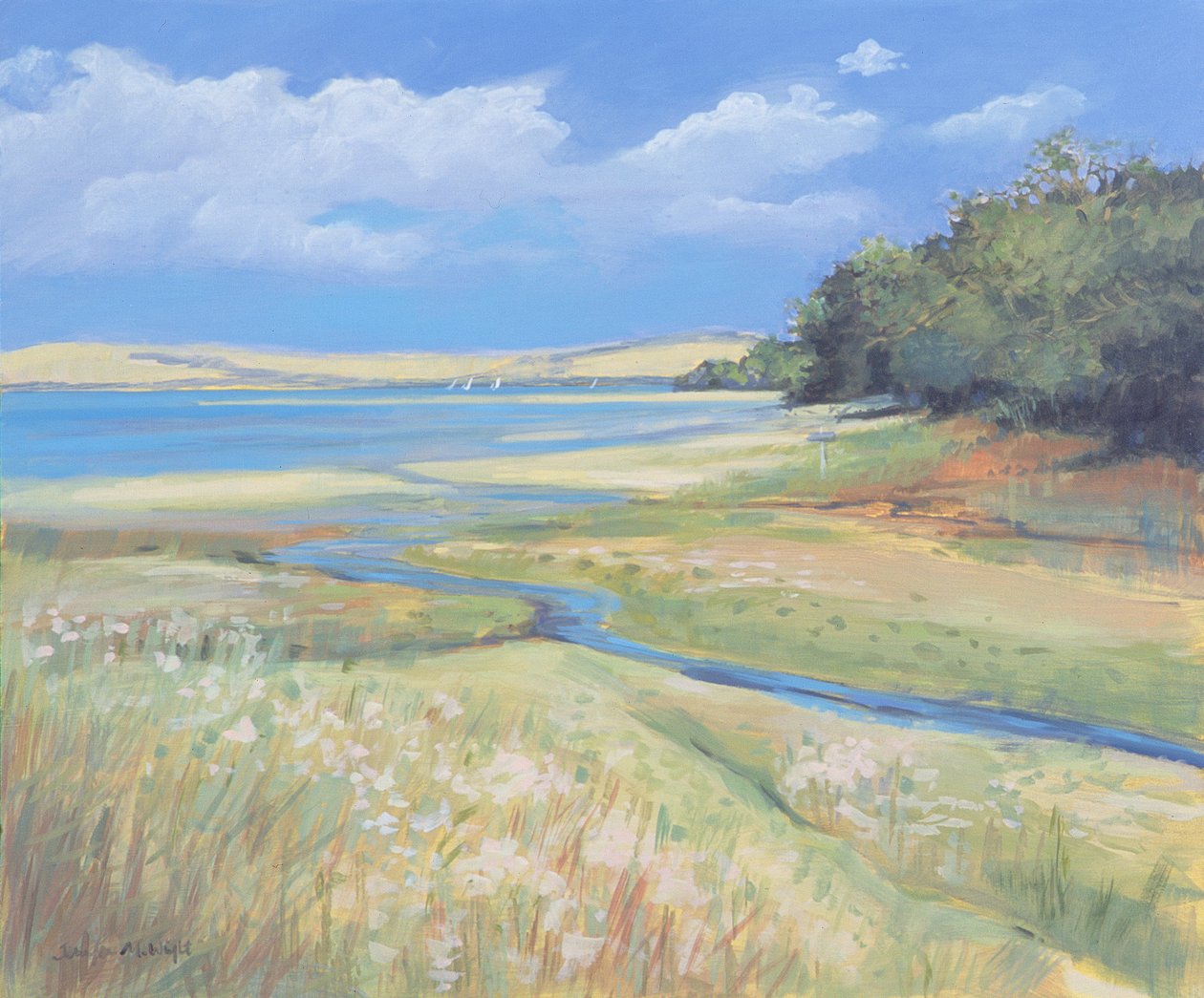 Kingsbridge Estuary 2,2008 作者 詹妮弗赖特