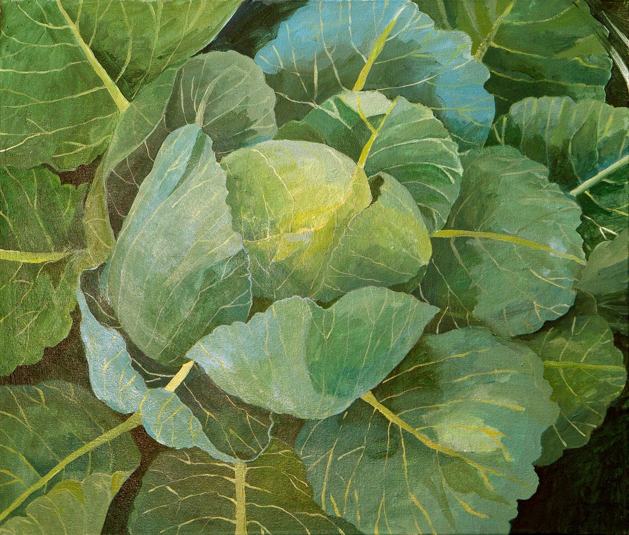 卷心菜（蓝色），2014（丙烯酸画布） 作者 詹妮弗·阿博特
