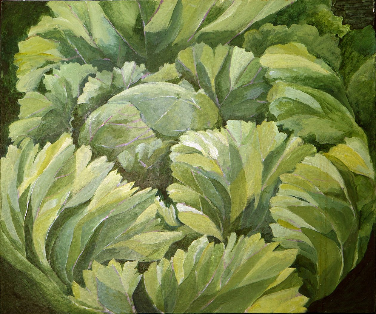 卷心菜，2013 年（丙烯酸画布） 作者 詹妮弗·阿博特