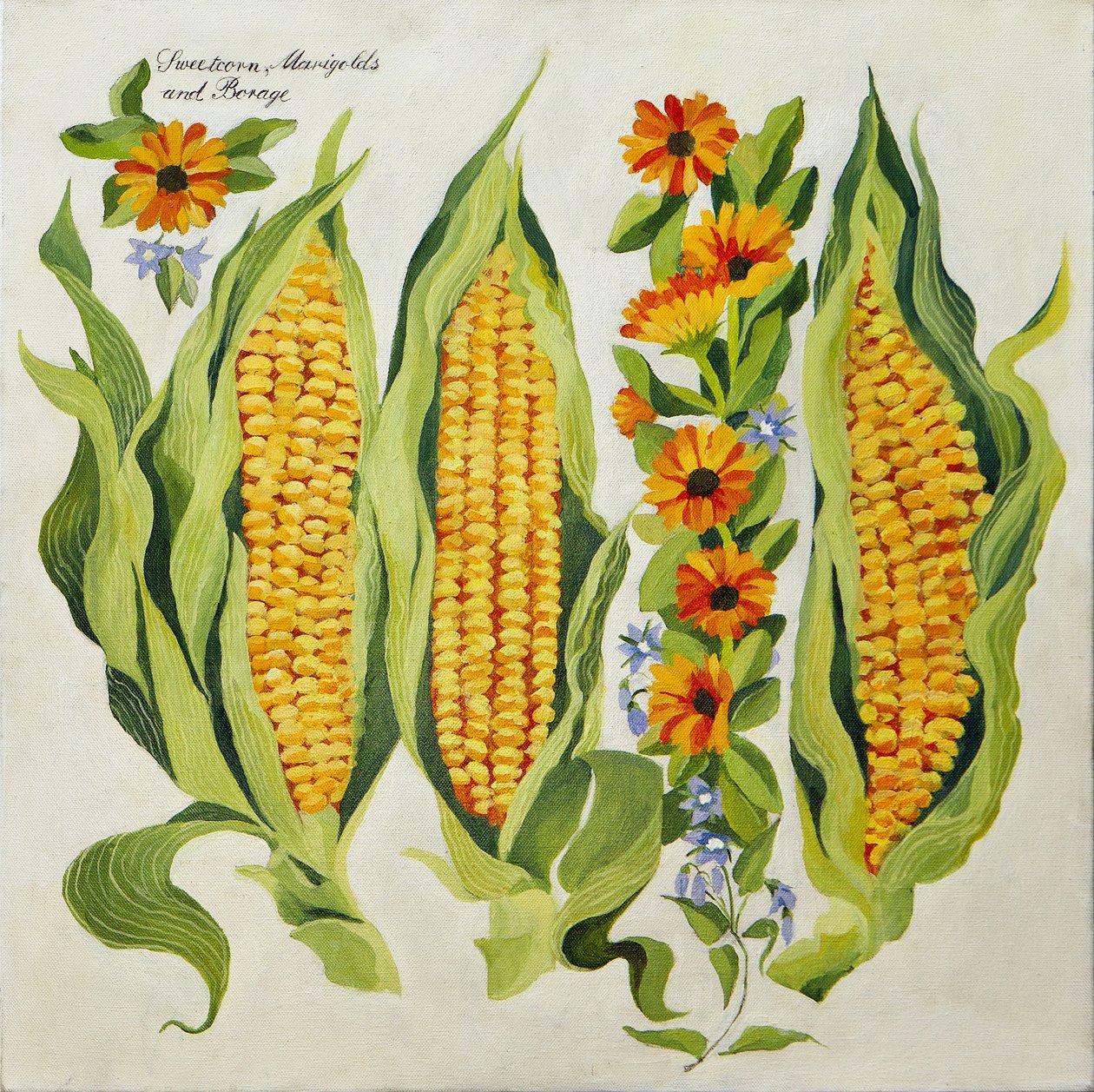 玉米和骨髓花，2014 年（丙烯酸画布） 作者 詹妮弗·阿博特