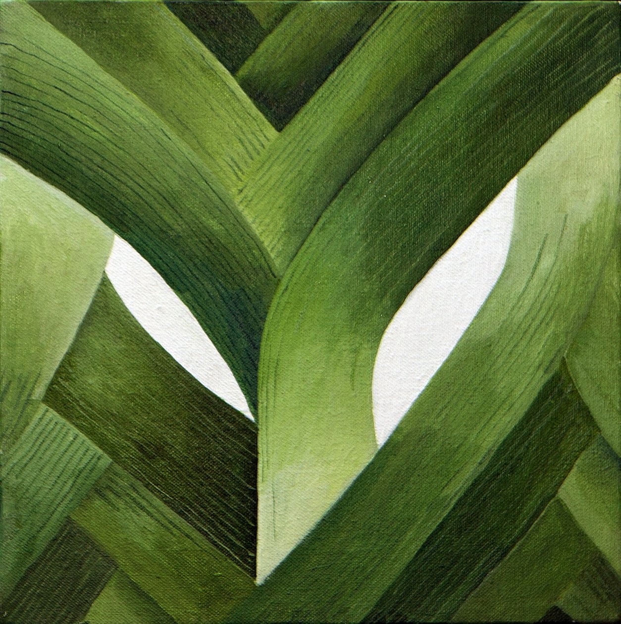 韭菜，2013 年（丙烯酸画布） 作者 詹妮弗·阿博特