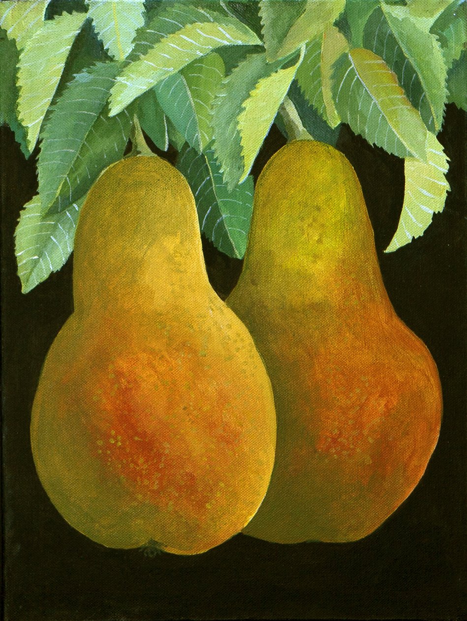 梨，2014（丙烯酸画布） 作者 詹妮弗·阿博特