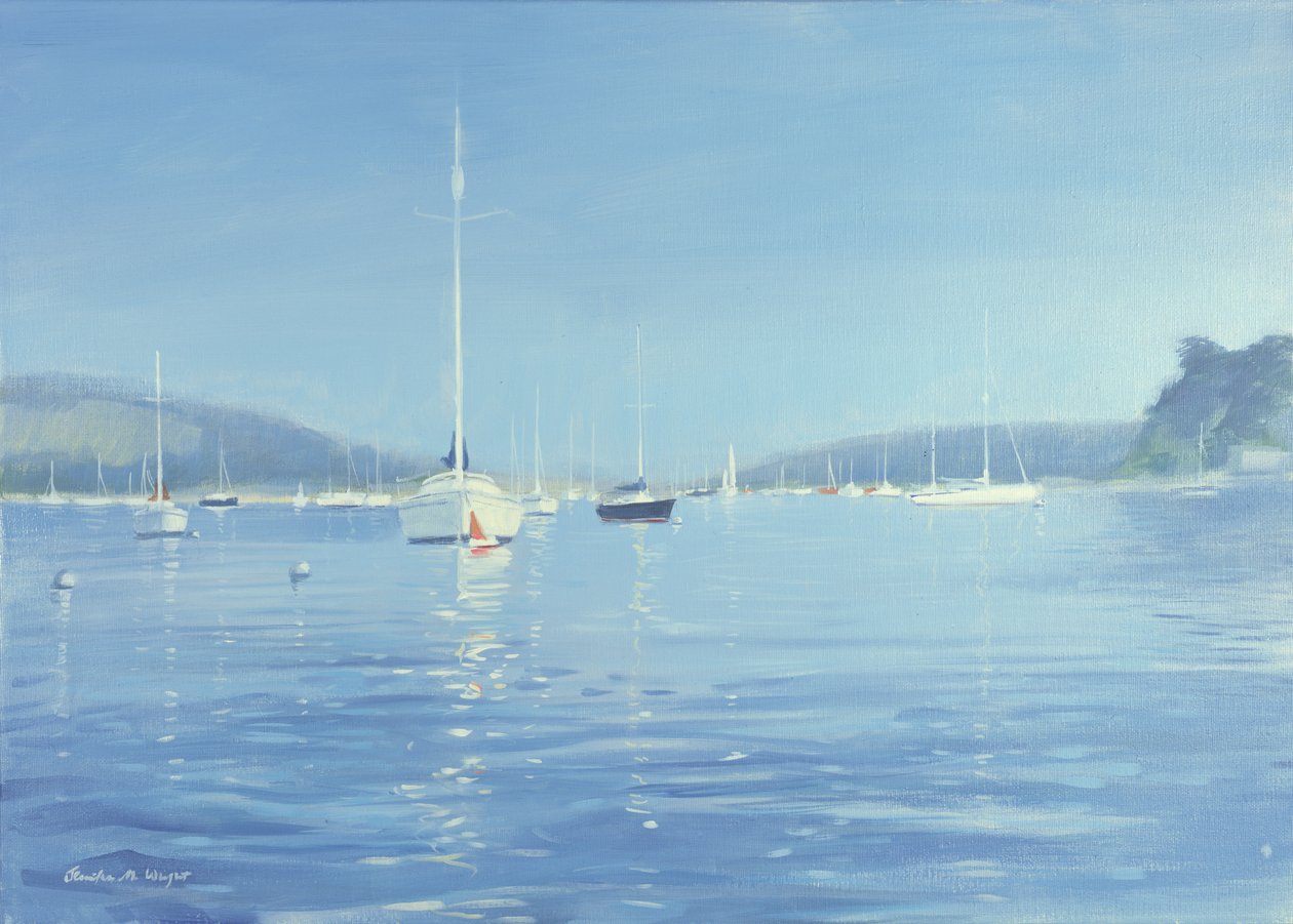 Salcombe Yachts  -  Summer Heat，2008 作者 詹妮弗赖特