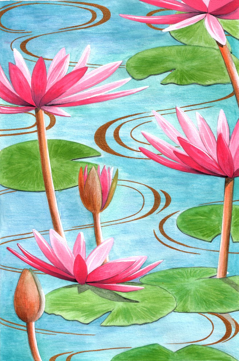 莲花，2008（纸上水粉和蜡笔） 作者 珍妮·巴纳德（Jenny Barnard）