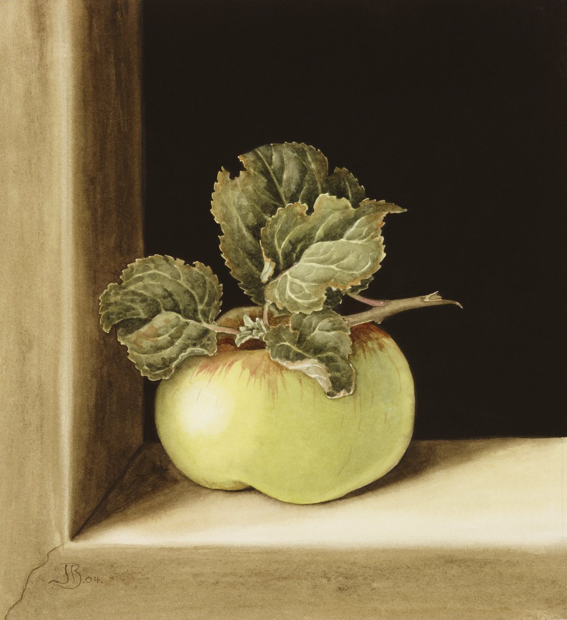 Apple（wc在纸上） 作者 珍妮·巴伦（Jenny Barron）