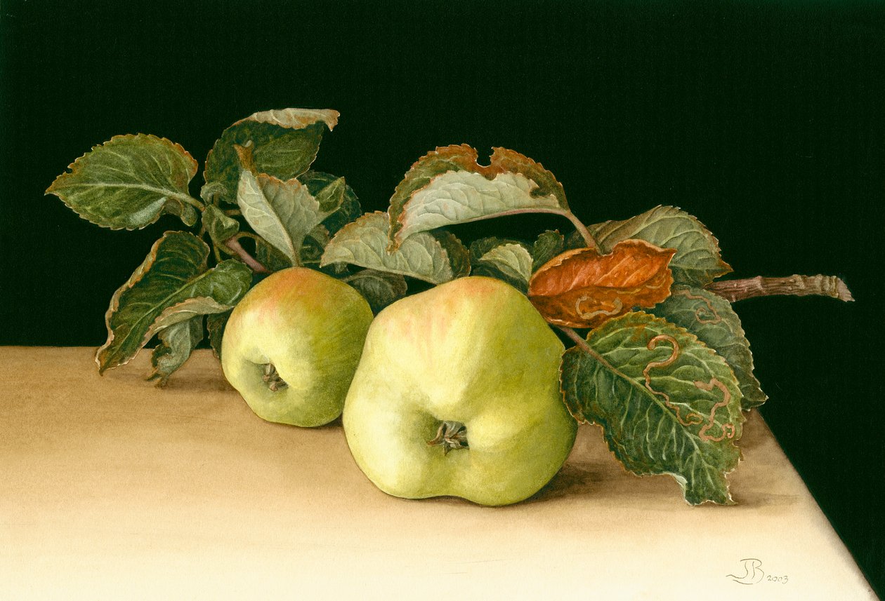 Bramleys 作者 珍妮·巴伦（Jenny Barron）