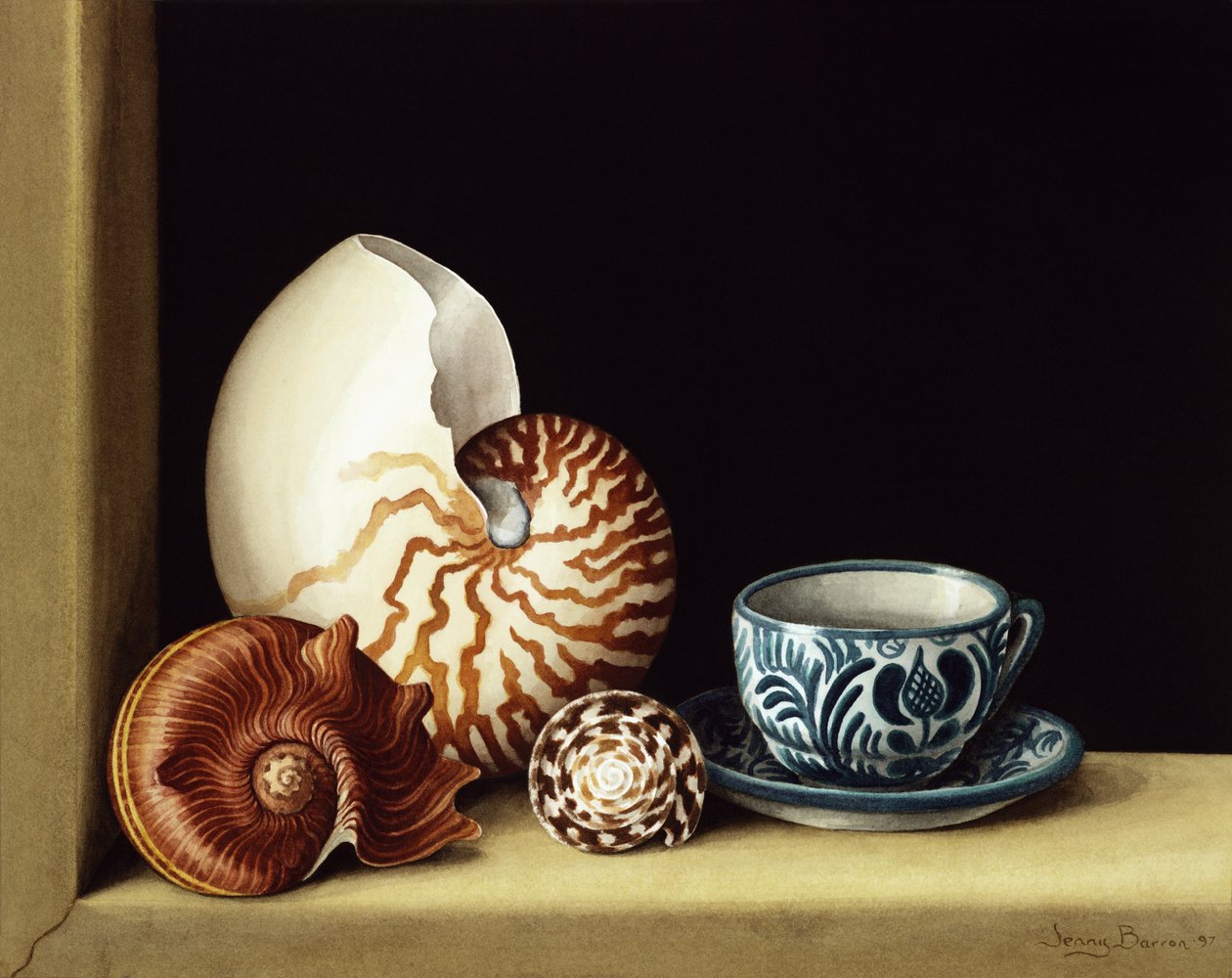 静物与鹦鹉螺，1998年（纸上wc） 作者 珍妮·巴伦（Jenny Barron）