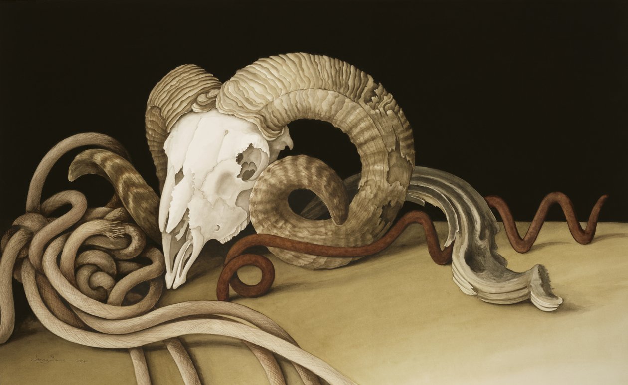 瓦尼塔斯，2004年（纸上文字） 作者 珍妮·巴伦（Jenny Barron）