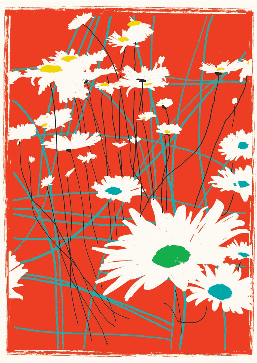 菊花链，2015（混合媒体） 作者 珍妮·弗兰（Jenny Frean）