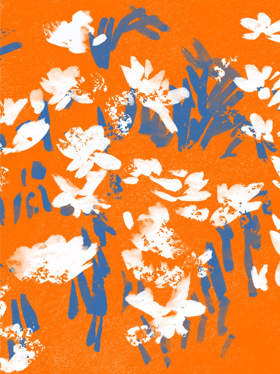 Mandarin Meadow 作者 珍妮·弗兰（Jenny Frean）