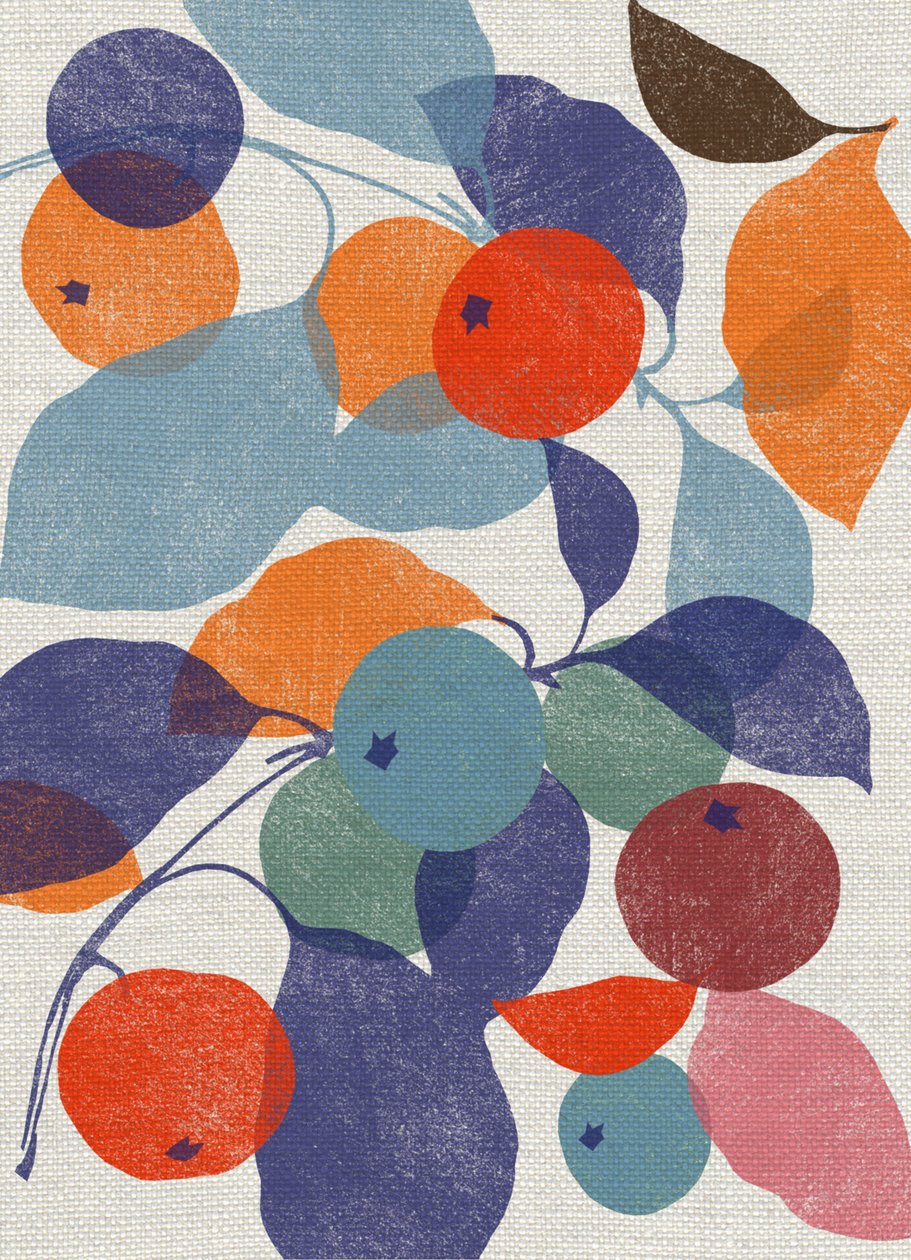 Printed Apples 作者 珍妮·弗兰（Jenny Frean）