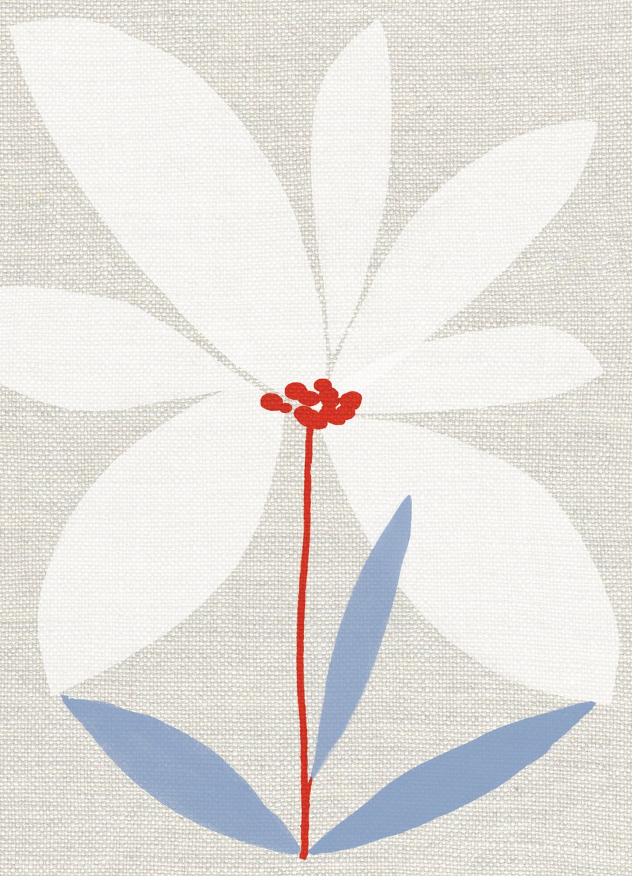Printed Daisy 作者 珍妮·弗兰（Jenny Frean）
