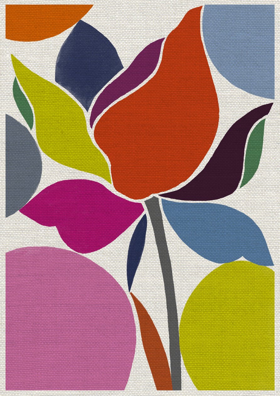 Printed Tulip 作者 珍妮·弗兰（Jenny Frean）