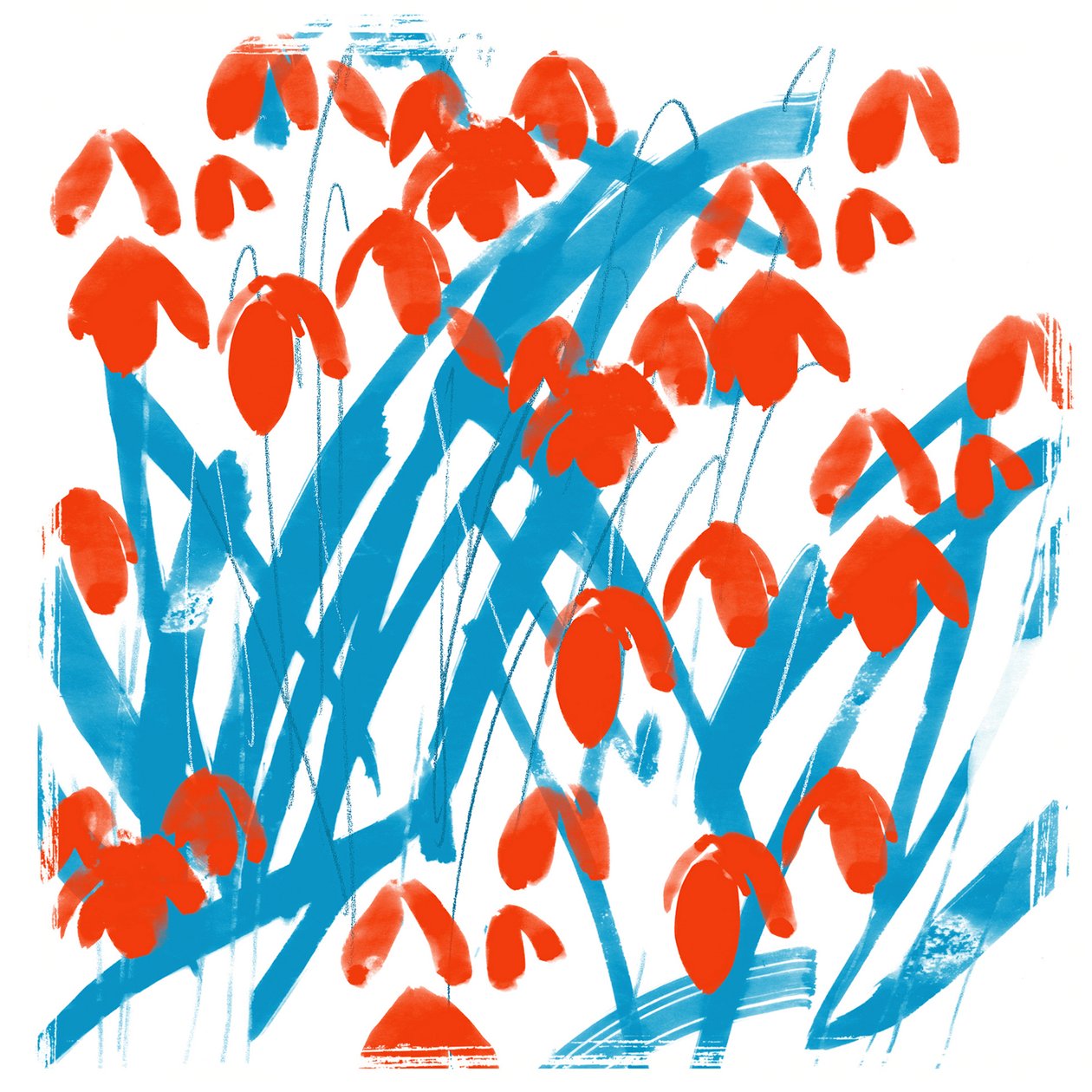 Red Snowdrops 作者 珍妮·弗兰（Jenny Frean）