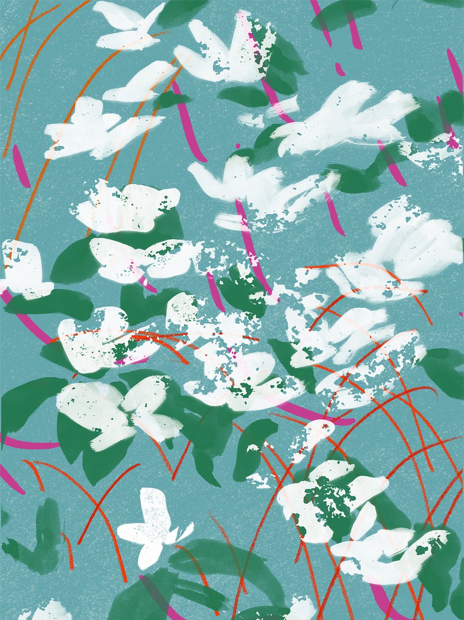 Teal Tales 作者 珍妮·弗兰（Jenny Frean）