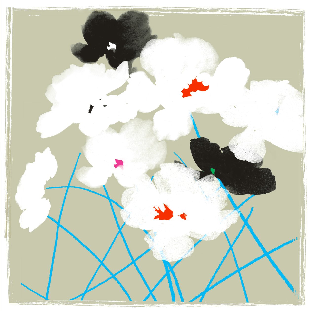 Turquoise Stems 作者 珍妮·弗兰（Jenny Frean）