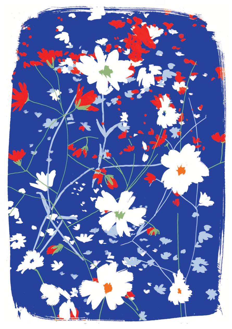 Woodland Flowers 作者 珍妮·弗兰（Jenny Frean）