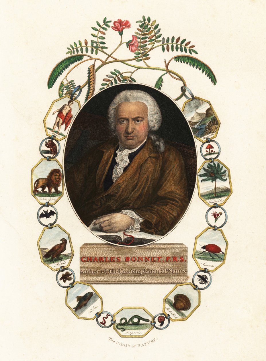 日内瓦博物学家查尔斯·博内特 (Charles Bonnet) 肖像，1803 年（雕刻） 作者 詹斯·尤尔