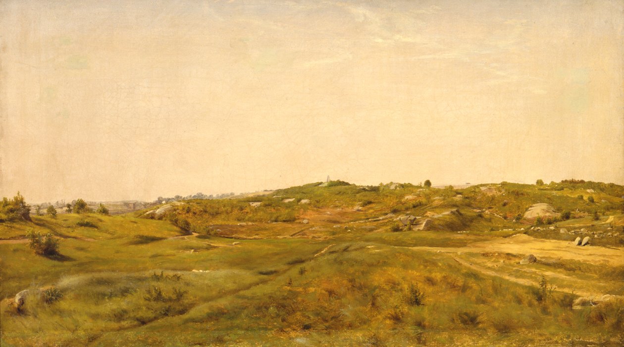 查看中央公园，纽约市，1858年 作者 杰维斯·麦肯特（Jervis McEntee）