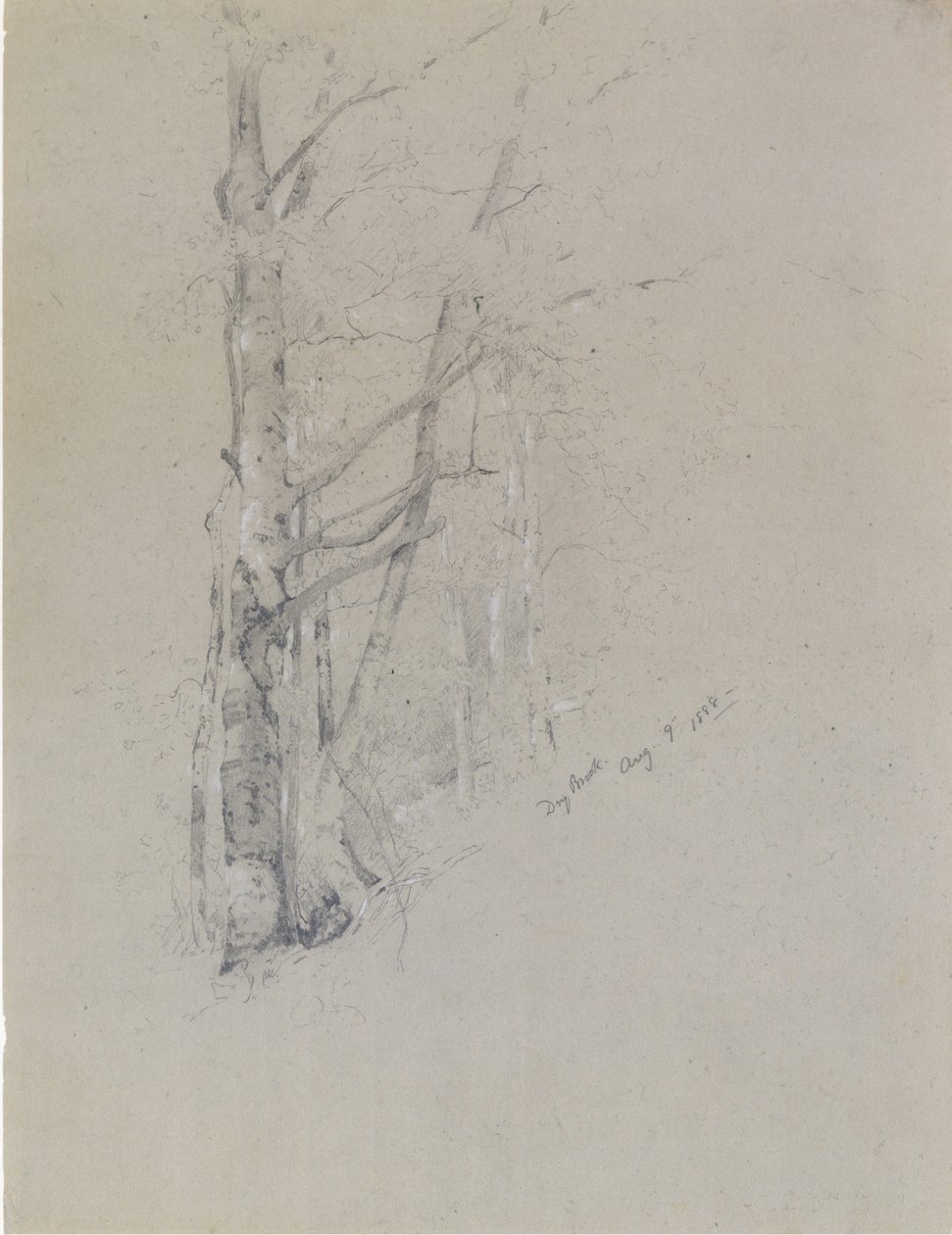 干溪，1888年。 作者 杰维斯·麦肯特（Jervis McEntee）